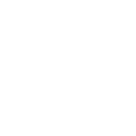 UFC.webp